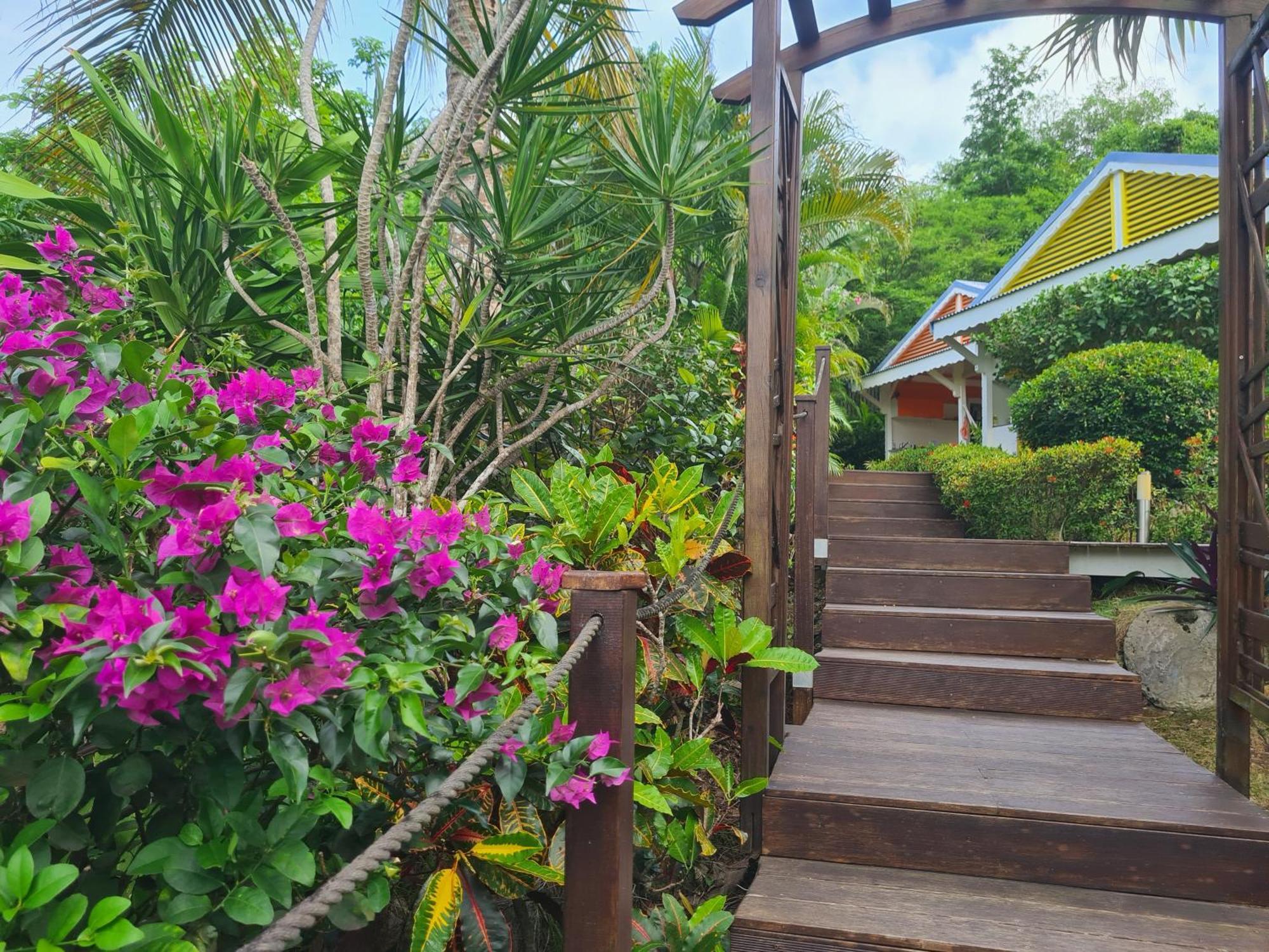 Les 3 Epices Le Gosier (Grande-Terre) Exterior foto